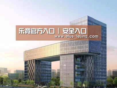 案例展示四