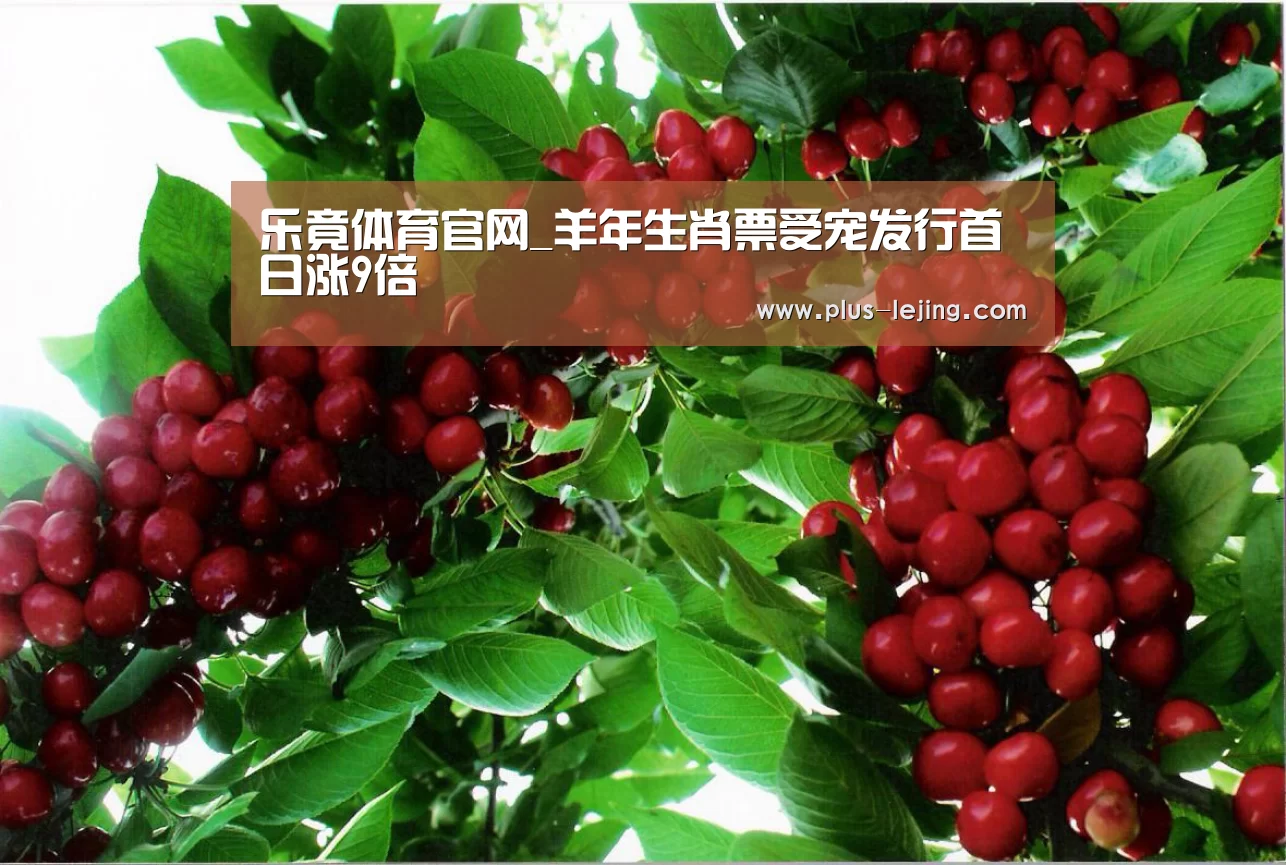 乐竟体育赛事