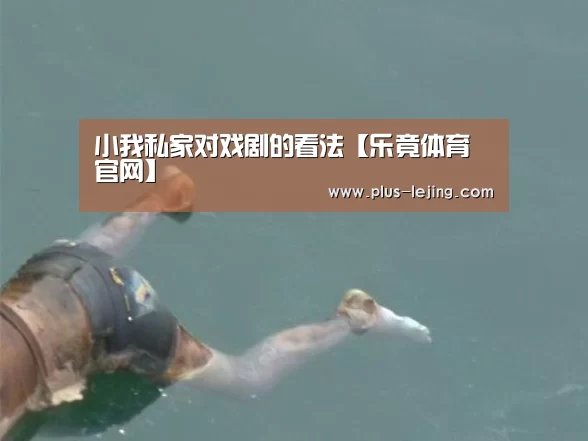 小我私家对戏剧的看法【乐竟体育官网】(图1) 乐竟体育