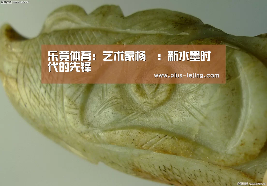 乐竟体育:艺术家杨珺:新水墨时代的先锋(图1) 乐竟体育
